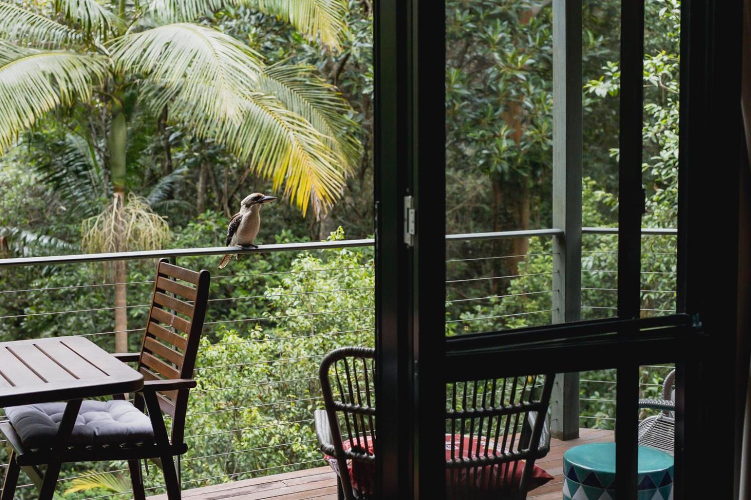 Kondalilla Eco Resort Montville Exteriér fotografie