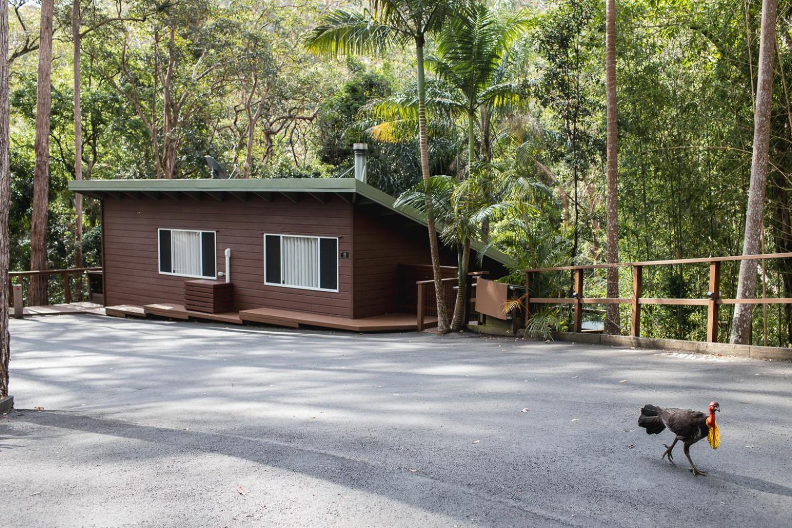 Kondalilla Eco Resort Montville Exteriér fotografie