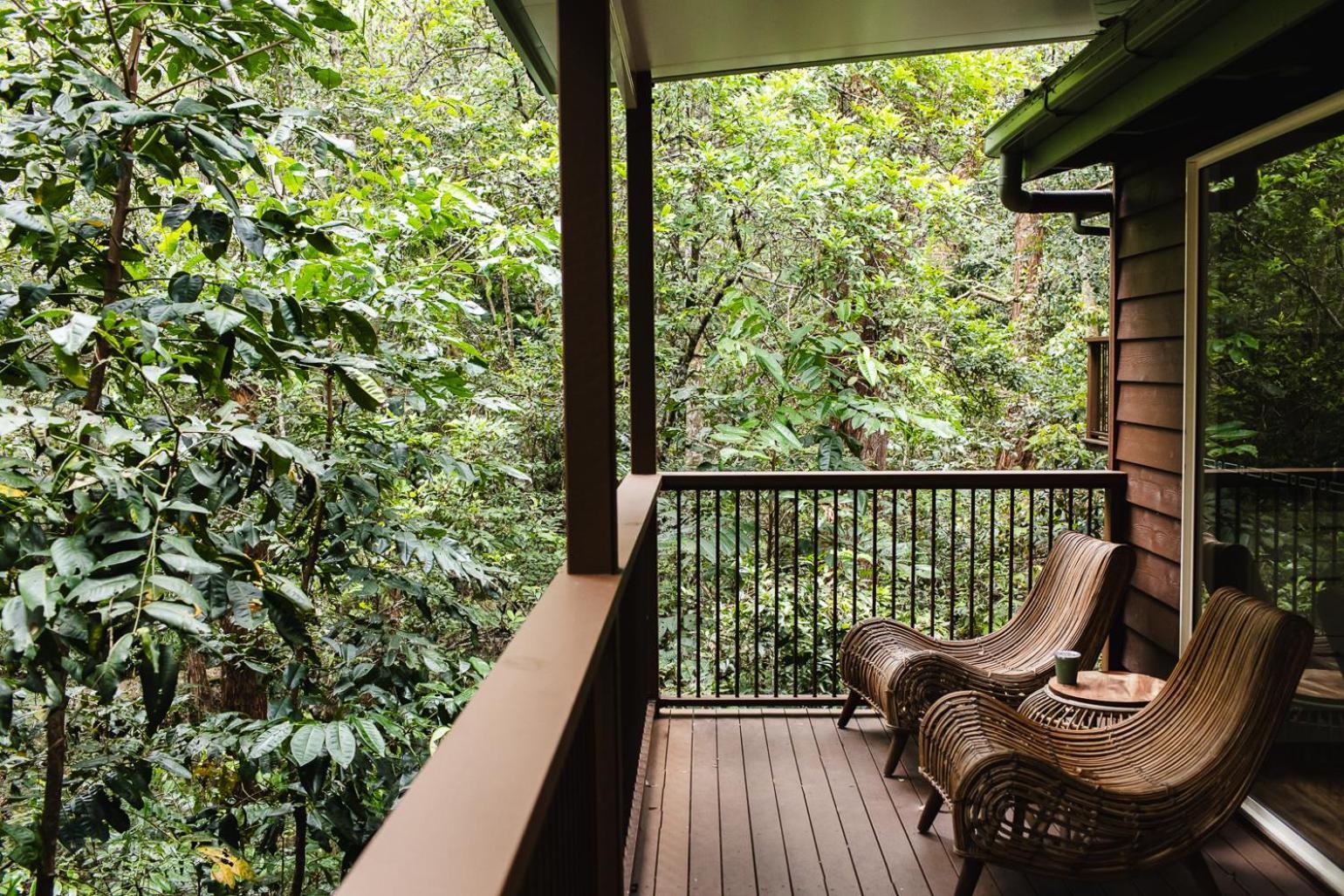 Kondalilla Eco Resort Montville Exteriér fotografie
