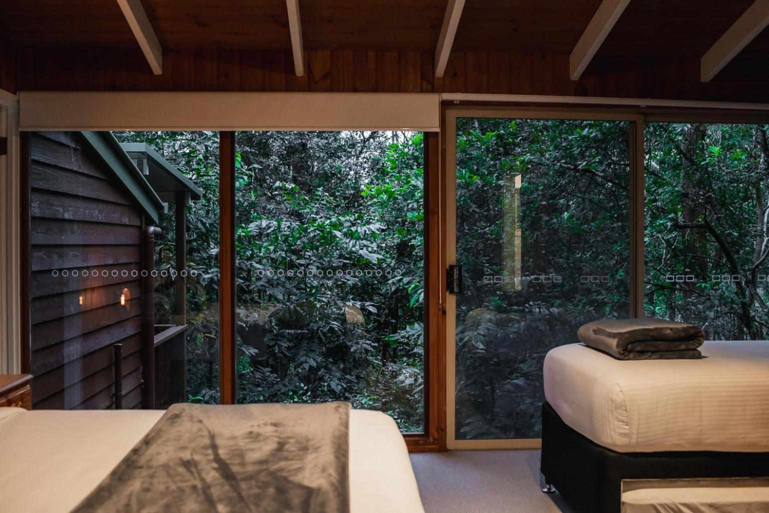 Kondalilla Eco Resort Montville Exteriér fotografie