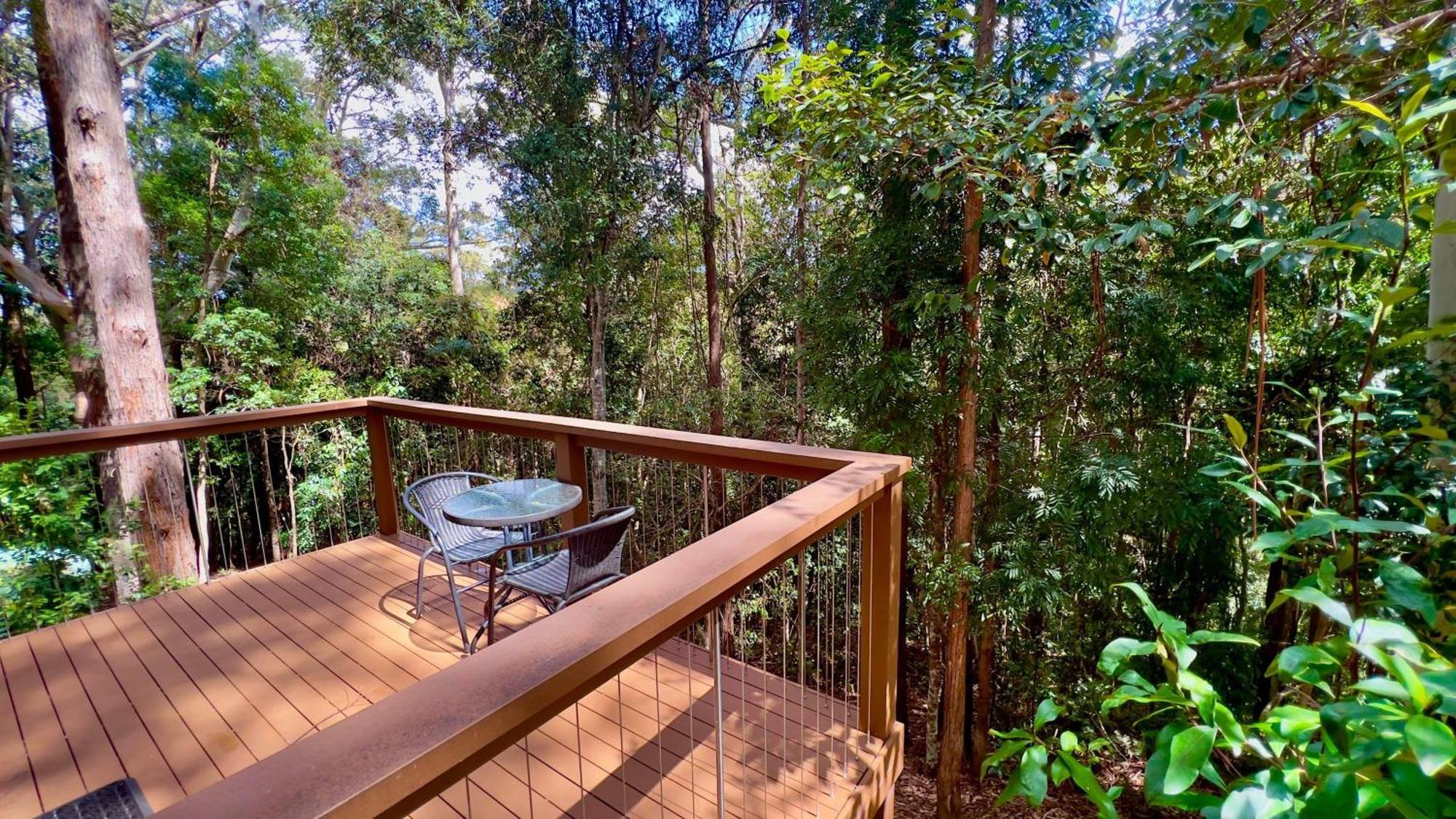 Kondalilla Eco Resort Montville Exteriér fotografie