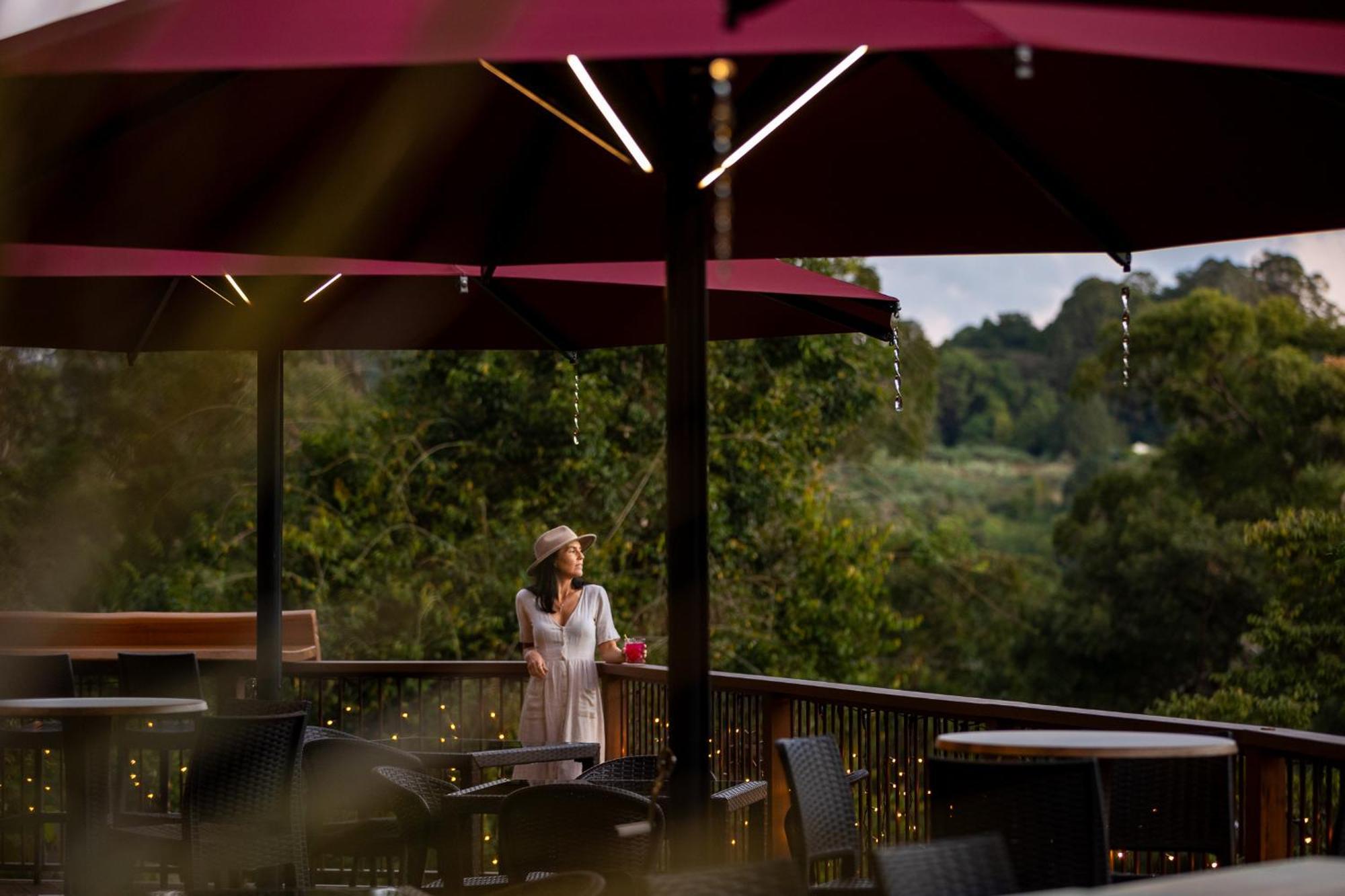 Kondalilla Eco Resort Montville Exteriér fotografie