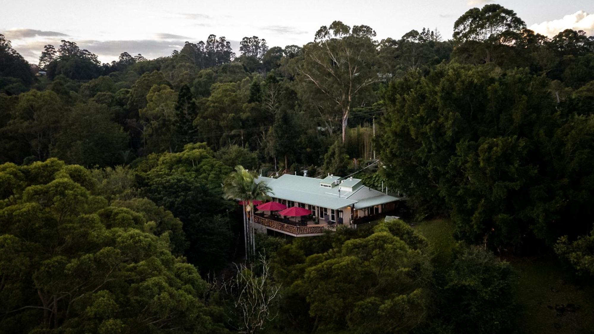 Kondalilla Eco Resort Montville Exteriér fotografie