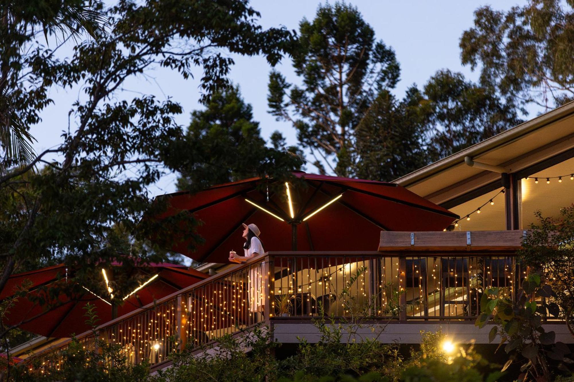 Kondalilla Eco Resort Montville Exteriér fotografie